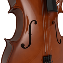 Cello O Violoncello 4/4 Stringrey C-C045