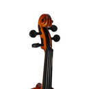 Violín Importado 4/4 En Madera R-80 Con Estuche Arco Rosin