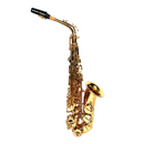 Saxofón Alto Importado De Alta Calidad A-M