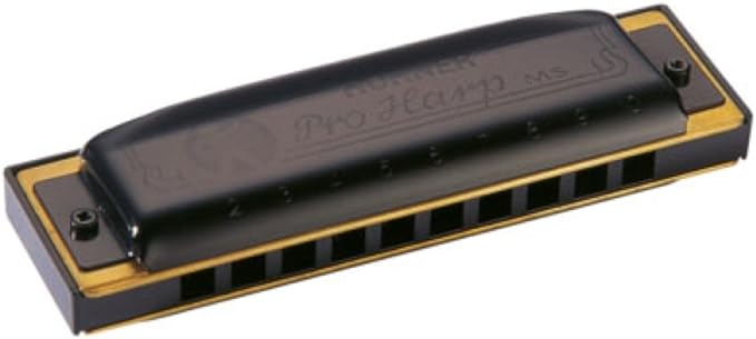 Armónica Hohner Pro Harp 10 Huecos