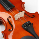 Violín 1/4 En Madera XTQ-7 Con Estuche Arco Stingrey