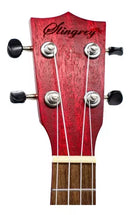 Ukulele Profesional De 23 Pulgadas Con Accesorios