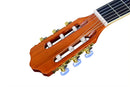 Guitarra Clasica Importada Tayste CG32-39