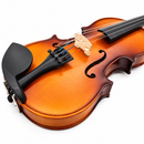 Violín 1/4 En Madera Stingrey MV1411A Con Estuche y Arco