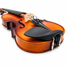 Violín 1/4 En Madera Stingrey MV1411A Con Estuche y Arco