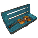 Violín Stingrey 4/4 AMF300K Con Arco y Estuche De Alta Calidad