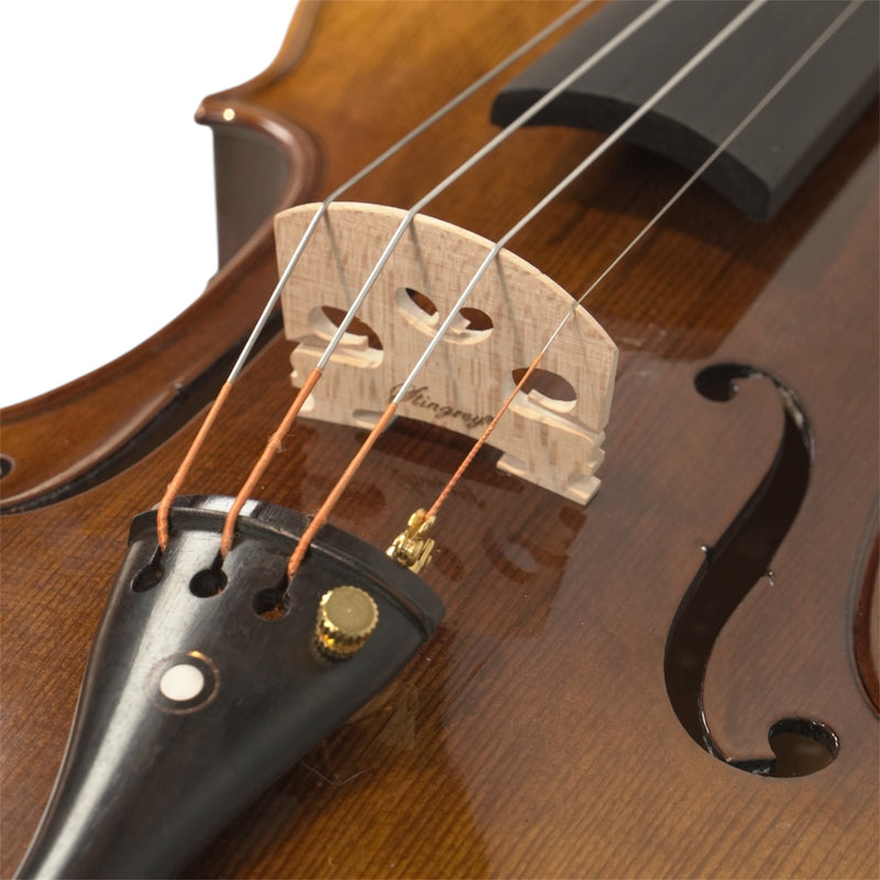 Violín Stingrey 4/4 AMF300K Con Arco y Estuche De Alta Calidad