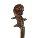Violín Stingrey 4/4 AMF300K Con Arco y Estuche De Alta Calidad