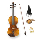 Violín Stingrey 4/4 AMF300K Con Arco y Estuche De Alta Calidad