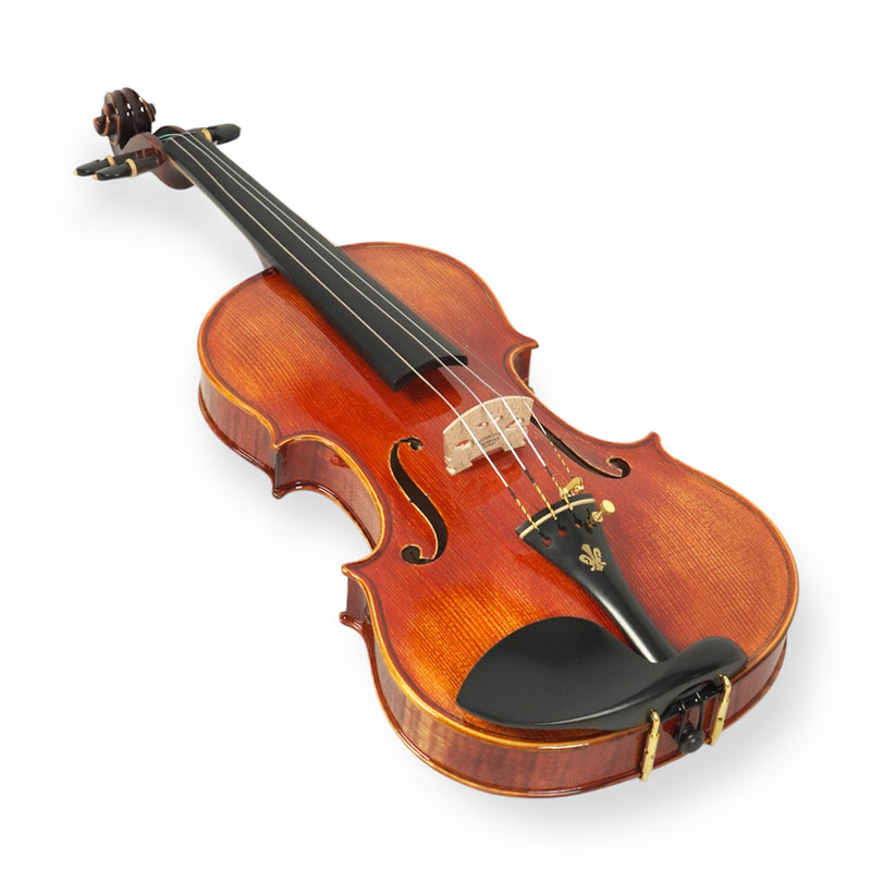 Violín Stingrey 4/4 ST300L Con Arco y Estuche Profesional