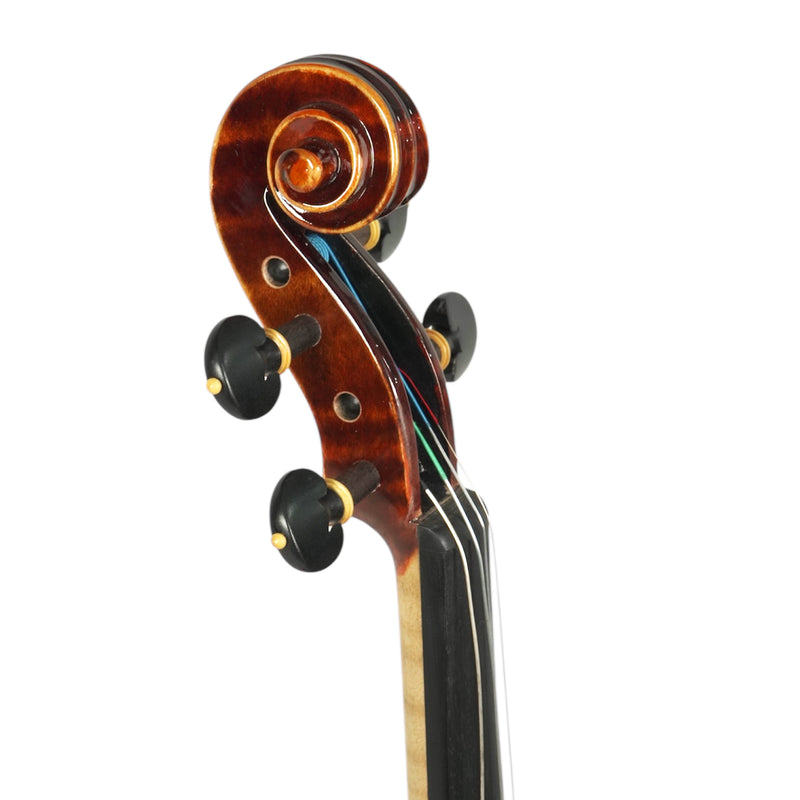 Violín Stingrey 4/4 ST300L Con Arco y Estuche Profesional
