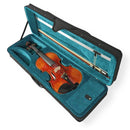 Violín Stingrey 4/4 ST300L Con Arco y Estuche Profesional