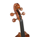 Violín Stingrey 4/4 AMF100K Con Arco y Estuche De Alta Calidad