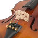 Violín Stingrey 4/4 AMF100K Con Arco y Estuche De Alta Calidad