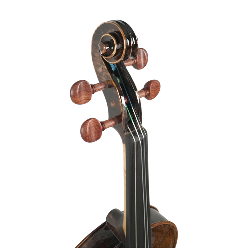 Violín Stingrey 4/4 ST100L Con Arco y Estuche Profesional