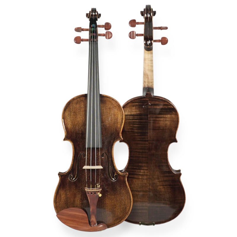Violín Stingrey 4/4 ST100L Con Arco y Estuche Profesional