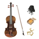 Violín Stingrey 4/4 ST100L Con Arco y Estuche Profesional