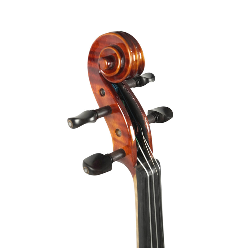 Violín Stingrey 4/4 MAF300K Con Arco y Estuche De Alta Calidad