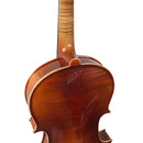 Violín Stingrey 4/4 AML200G Con Arco y Estuche De Alta Calidad