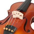 Violín Stingrey 4/4 AML200G Con Arco y Estuche De Alta Calidad