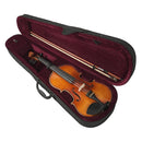 Violín Stingrey 4/4 AML200G Con Arco y Estuche De Alta Calidad