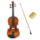 Violín Stingrey 4/4 AML200G Con Arco y Estuche De Alta Calidad