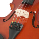 Violín Stingrey AM100L Con Arco y Estuche De Alta Calidad