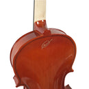 Violín Stingrey AM100L Con Arco y Estuche De Alta Calidad