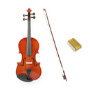 Violín Stingrey AM100L Con Arco y Estuche De Alta Calidad