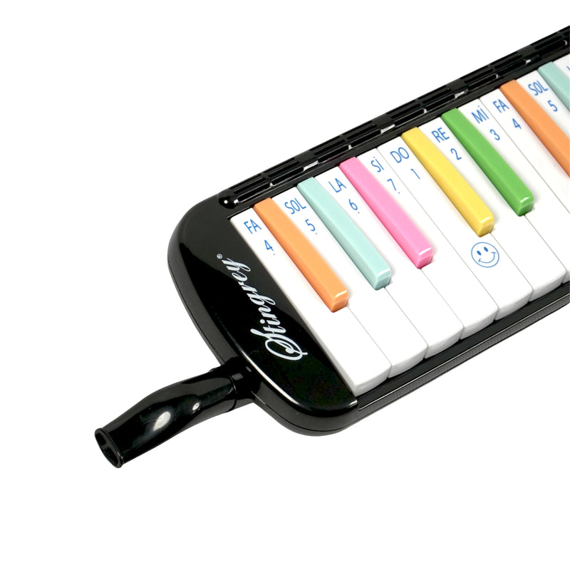 Melódica 37 Teclas Stingrey De Colores Con Estuche Ilustrado Y Accesorios