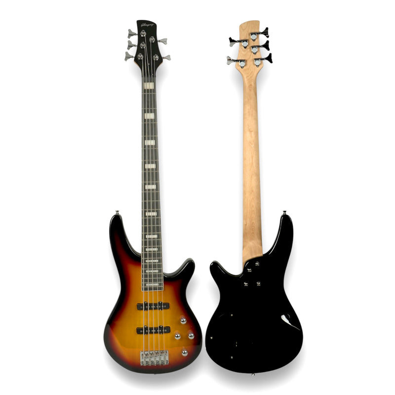 Combo De Bajo Eléctrico 5 Cuerdas Stingrey Con Amplificador De 20w