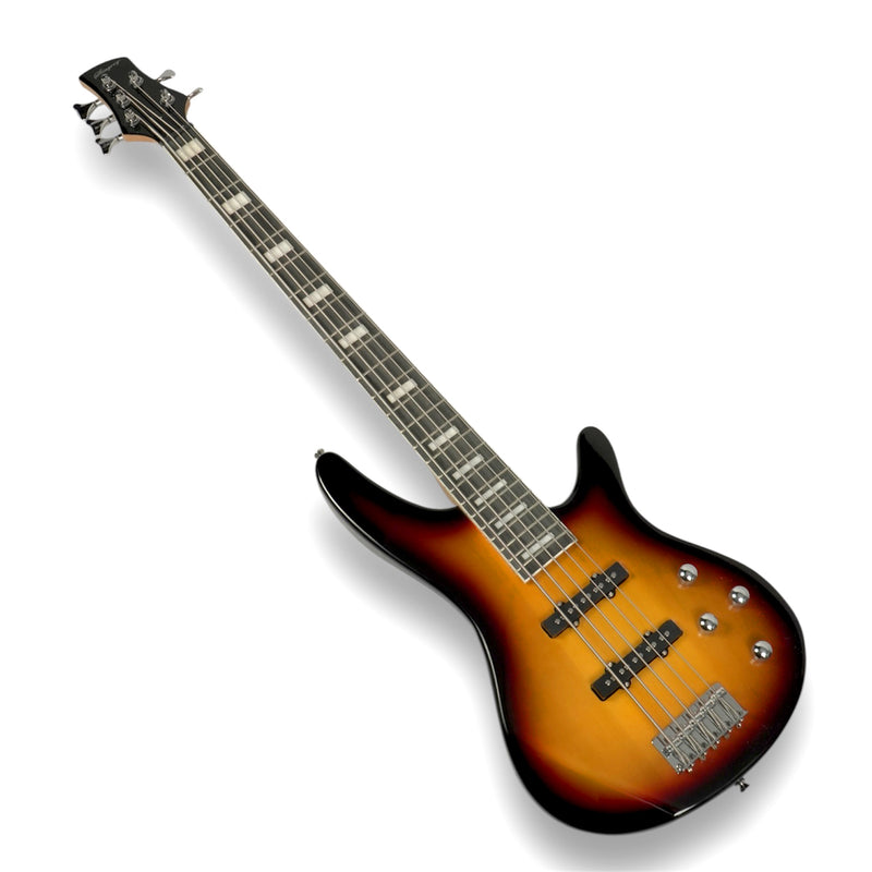 Combo De Bajo Eléctrico 5 Cuerdas Stingrey Con Amplificador De 20w