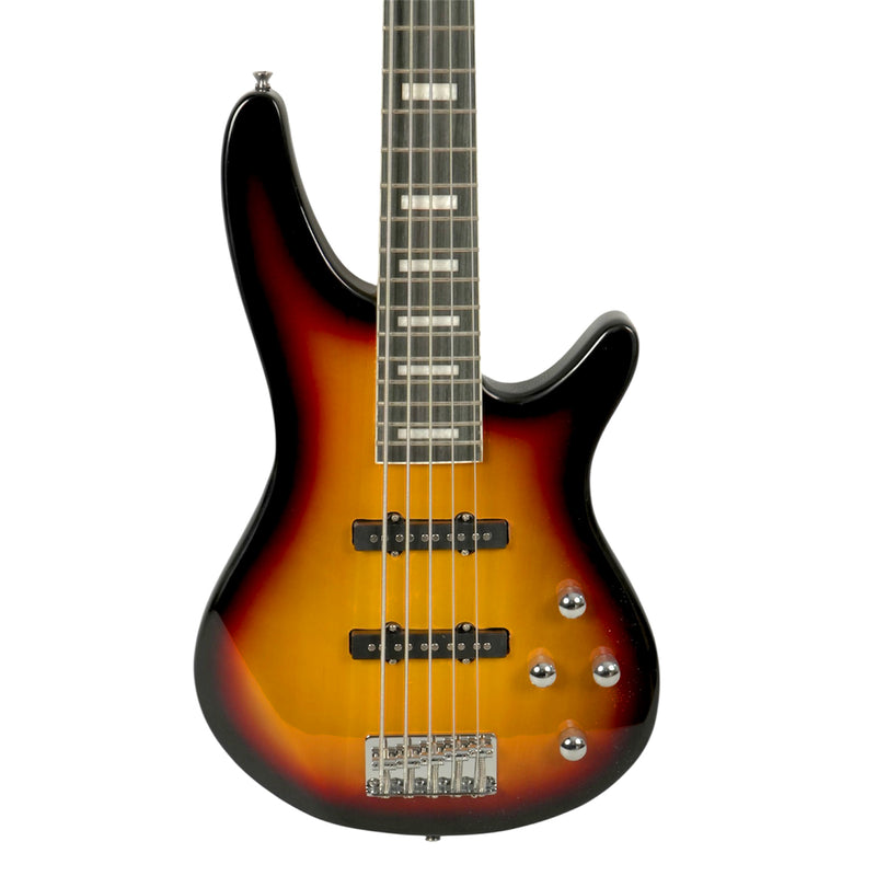 Combo De Bajo Eléctrico 5 Cuerdas Stingrey Con Amplificador De 20w