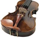 Violín Stingrey 4/4 ST100L Con Arco y Estuche Profesional