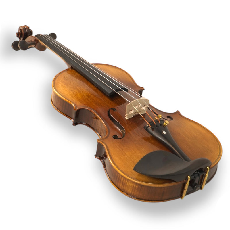 Violín Stingrey 4/4 AMF300K Con Arco y Estuche De Alta Calidad