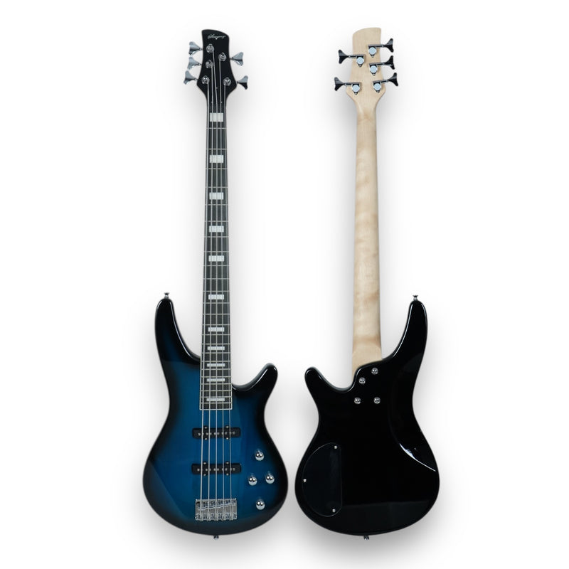 Combo De Bajo Eléctrico 5 Cuerdas Stingrey Con Amplificador De 20w