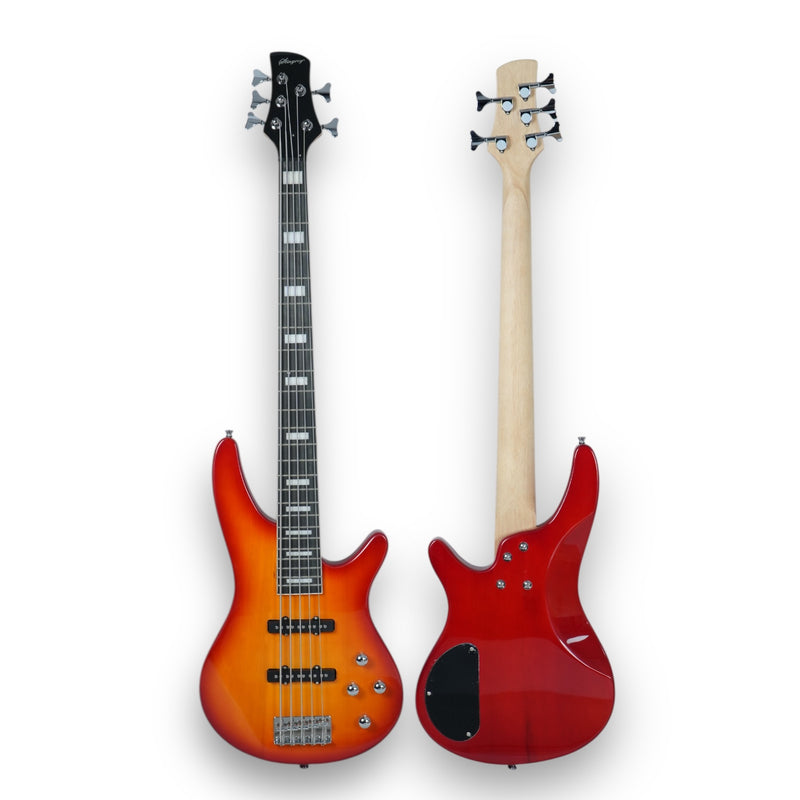 Combo De Bajo Eléctrico 5 Cuerdas Stingrey Con Amplificador De 20w