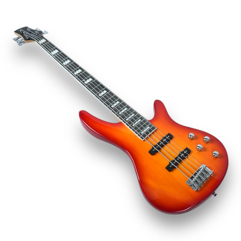 Combo De Bajo Eléctrico 5 Cuerdas Stingrey Con Amplificador De 20w