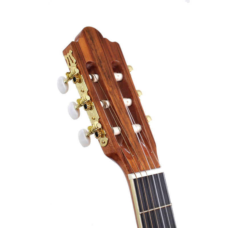 Guitarra Clásica Tayste TS-CG 300-39. GA6019