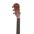 Guitarra Acustica Importada De Alta Calidad  Tayste TS21-41