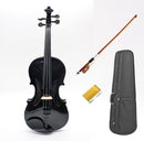 Combo Violín Stingrey R10 4/4 En Madera Color Negro