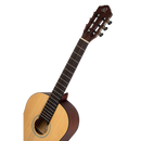 Guitarra Acustica Ortega RST5M  4/4