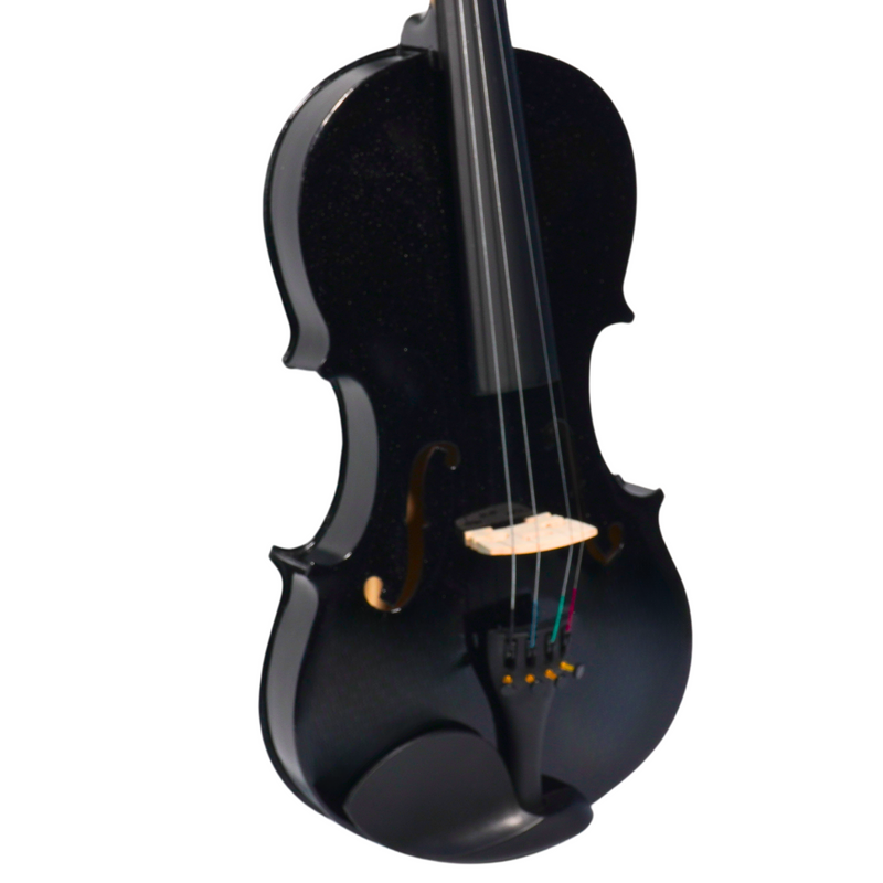 Violín Stingrey R10 4/4 En Madera Color Negro