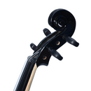 Violín Stingrey R10 4/4 En Madera Color Negro
