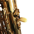 Almohadilla de Apoyo Para el Pulgar de Goma Para Saxofón