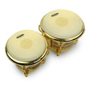 Parches Evans 7+8.5/8  Para Bongo EB0709