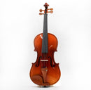 Violín Stingrey V002b 4/4 En Madera Solida