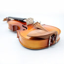 Violín Stingrey V002b 4/4 En Madera Solida