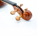 Violín Stingrey V002b 4/4 En Madera Solida