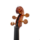 Violín Stingrey V002b 4/4 En Madera Solida